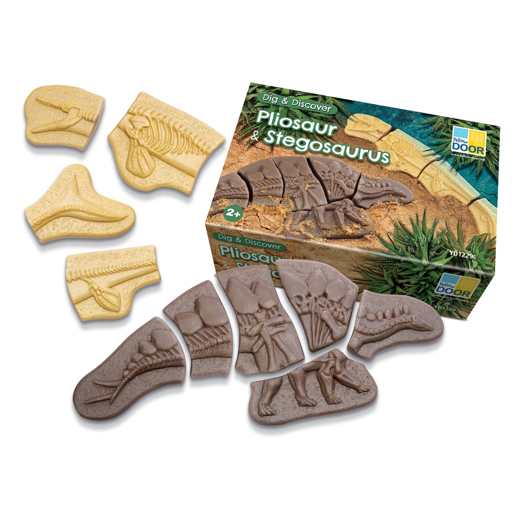 Dinosaur Pack Dig and Discover_3