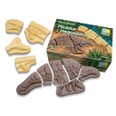 Dinosaur Pack Dig and Discover_3