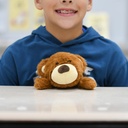 Bear Posture Pal_1