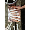 Dinosaur Bones Match and Measure Activity Cards_1