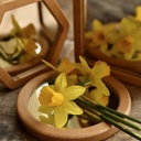 Little Looking Shape Mirrors Set of 4_5