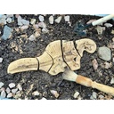 Triceratops & Spinosaurus Dig and Discover_2