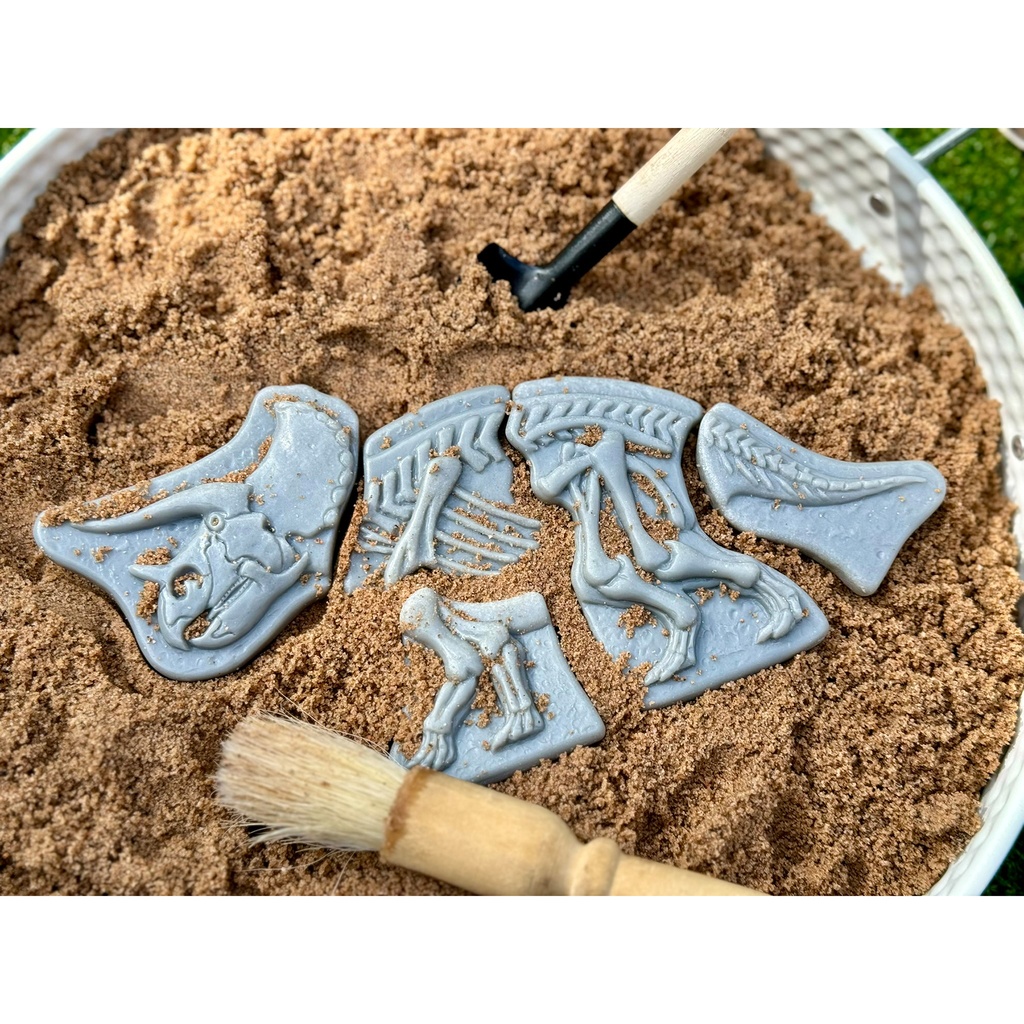 Triceratops & Spinosaurus Dig and Discover_3