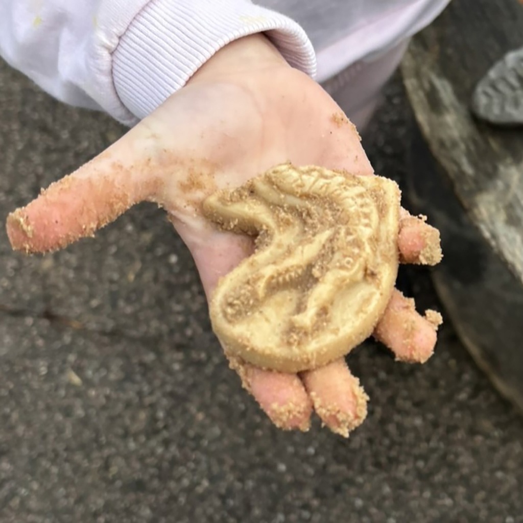 Triceratops & Spinosaurus Dig and Discover_4