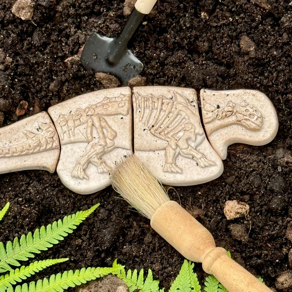 Ankylosaurus & Tyrannosaurus Rex Dig and Discover_2