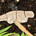Ankylosaurus & Tyrannosaurus Rex Dig and Discover_2