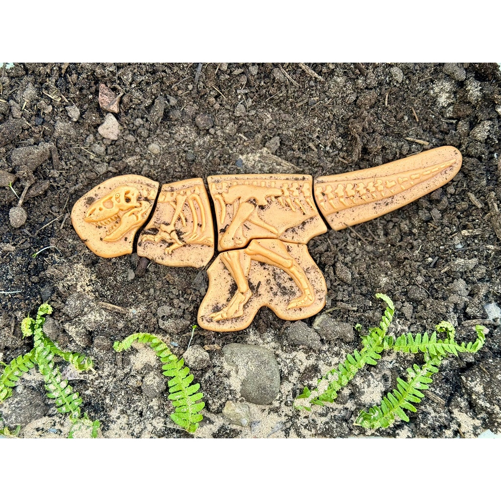 Ankylosaurus & Tyrannosaurus Rex Dig and Discover_3