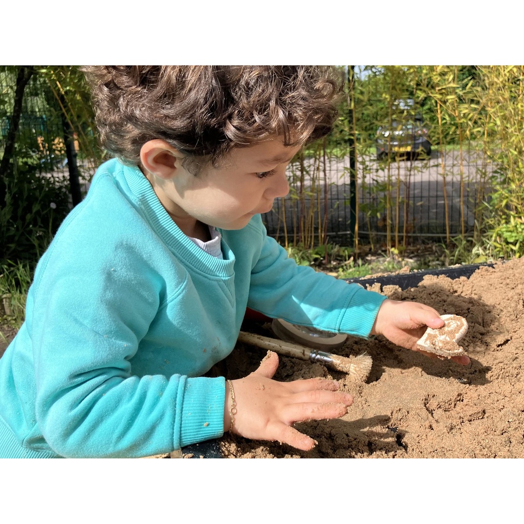 Ankylosaurus & Tyrannosaurus Rex Dig and Discover_5