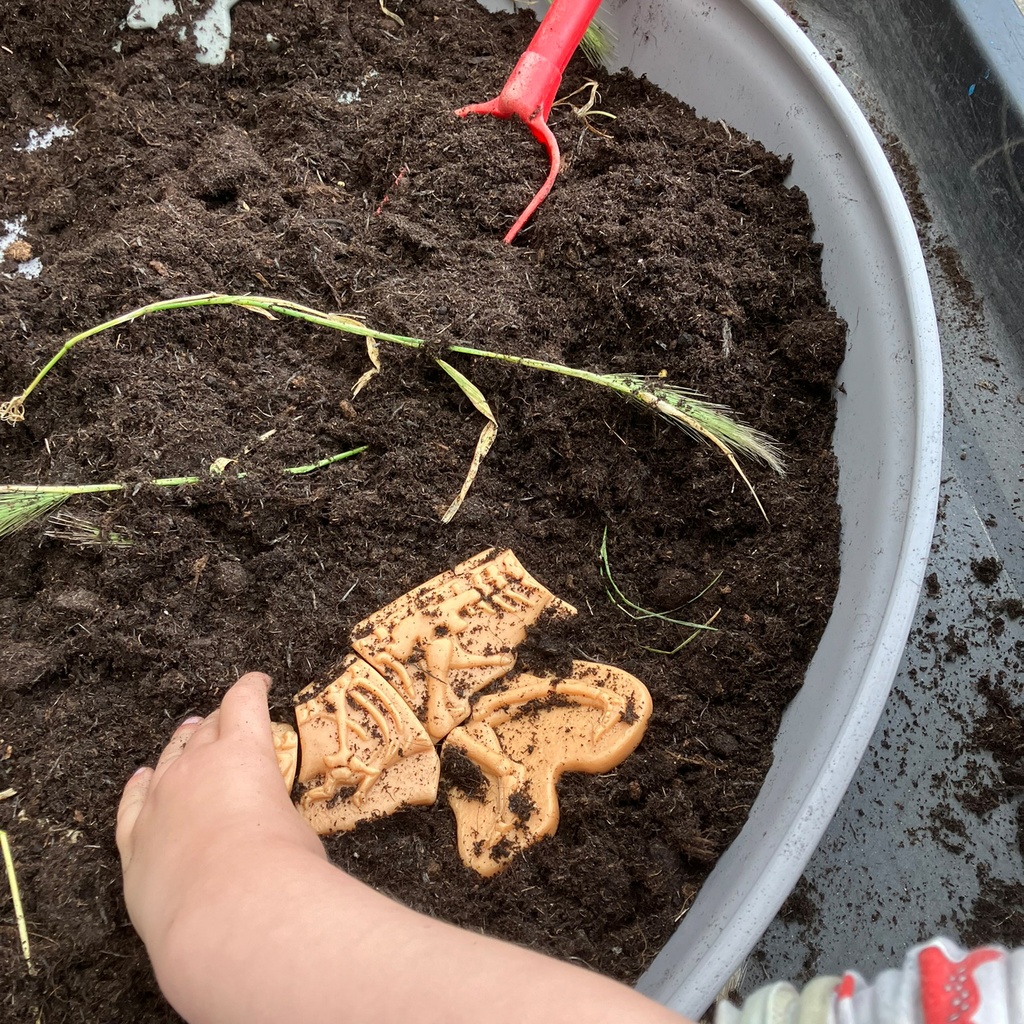 Ankylosaurus & Tyrannosaurus Rex Dig and Discover_7