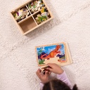 Dinosaurs Puzzles in a Box_7