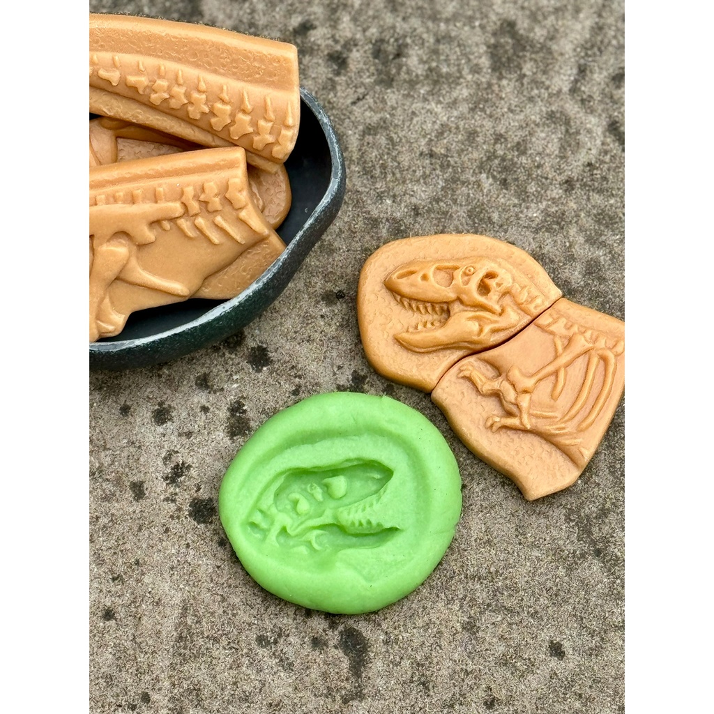 Ankylosaurus & Tyrannosaurus Rex Dig and Discover_8