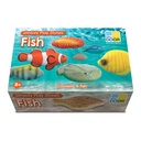 Fish Sensory Play Stones_1