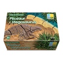Pliosaur & Stegosauras Dig and Discover_1