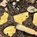 Pliosaur & Stegosauras Dig and Discover_2