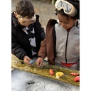 Fish Sensory Play Stones_9