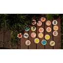Let’s Feel Tactile Disks.2