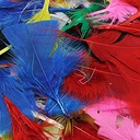 Turkey Feathers, Bright Colors, 14 Grams Per Pack, 12 Packs