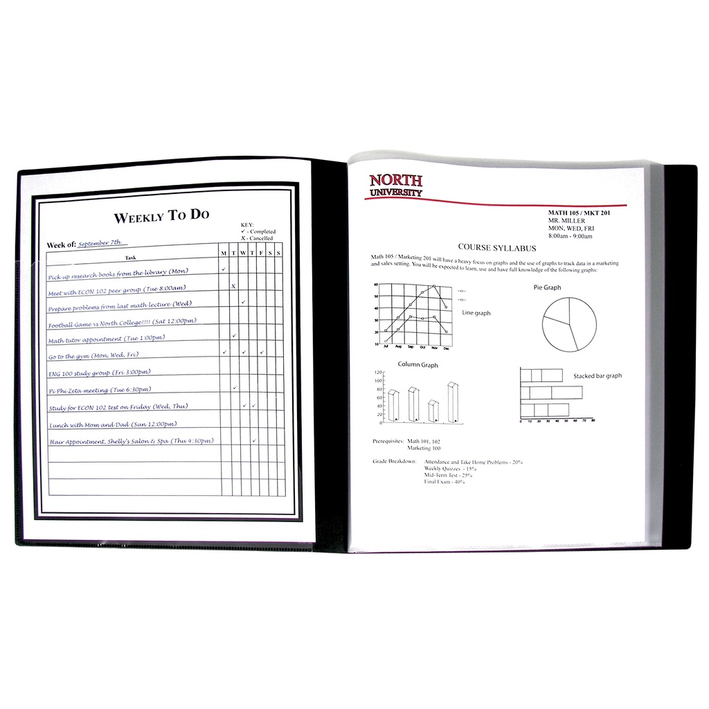 Bound Sheet Protector Presentation Book, 12-Pocket, Pack of 6