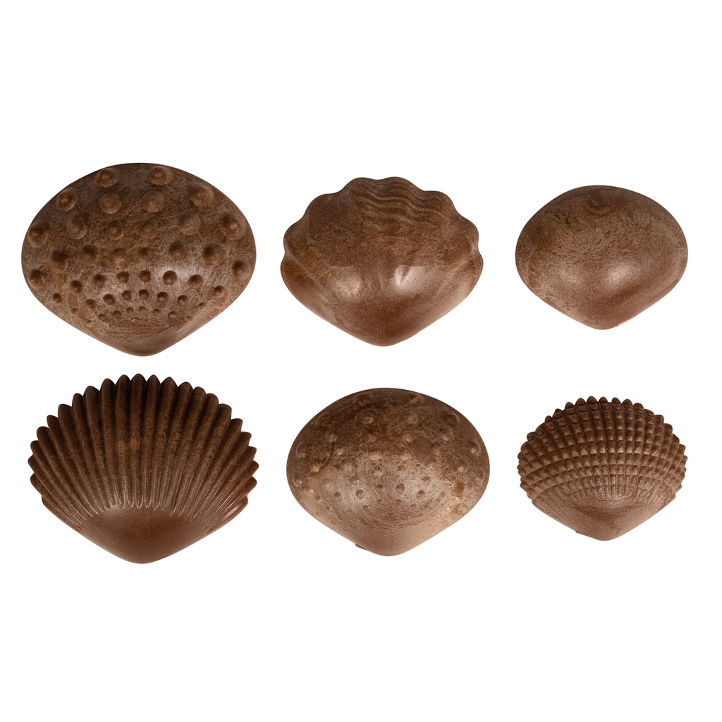 36ct Tactile Shells Ages - 18m+