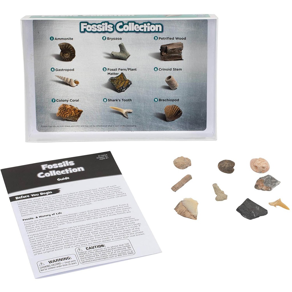 GeoSafari Complete Rock Mineral Fossil Collection