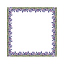 Curiosity Garden Die-Cut Floral Extra Wide Deco Trim®, 37 Feet
