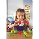 Attribute Apples Set of 27