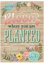 Rustic Bloom Succulents Positive Poster Set