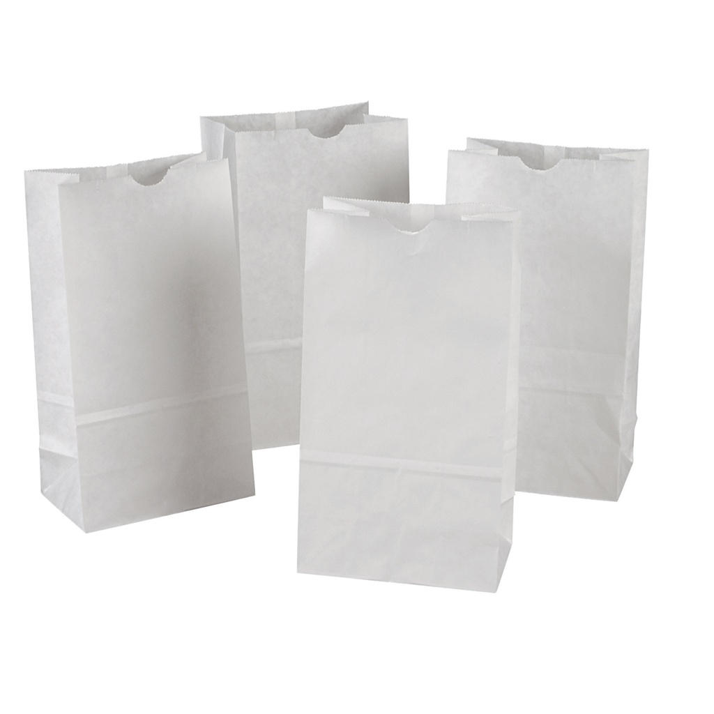 Kraft Bag, White, 6" x 3-5/8" x 11", 100 Bags Per Pack, 2 Packs