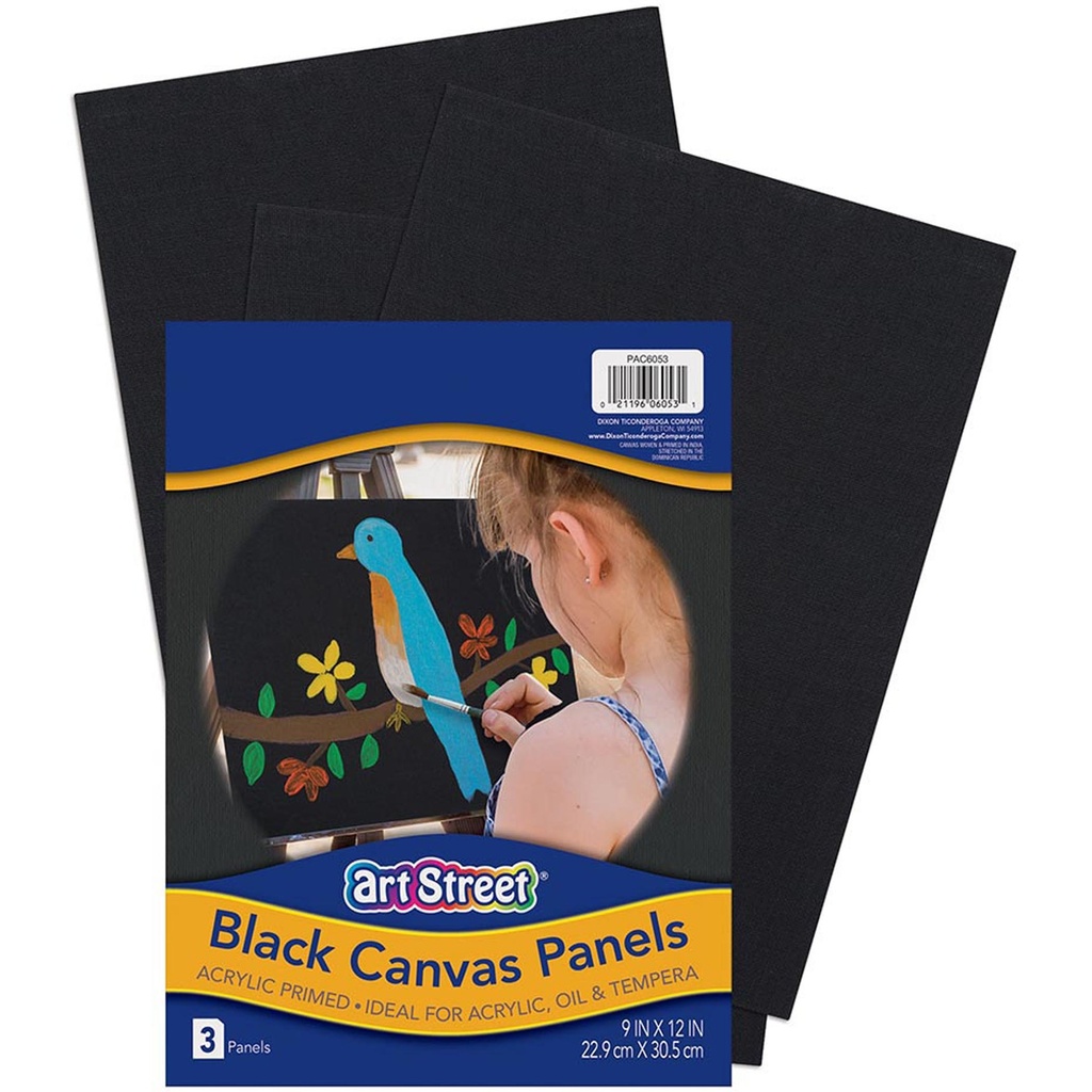 Canvas Panels, Black, 9" x 12", 3 Per Pack, 2 Packs