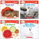 Non Fiction Sight Word Readers Student Pack Level A