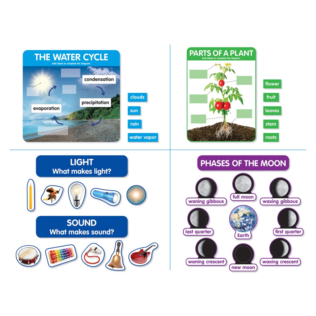 Early Science Concepts Bulletin Board Set