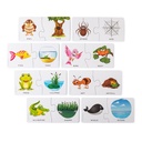 Animal Home and Habitat Matching Puzzle