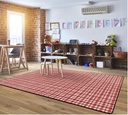 Farmhouse Collection Watercolor Gingham Area Rug