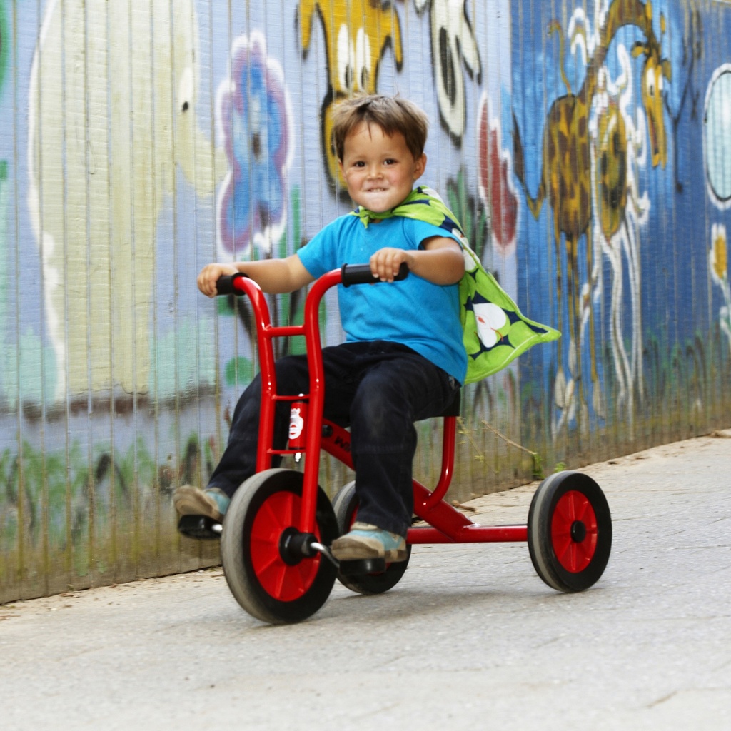 Small Viking Tricycle