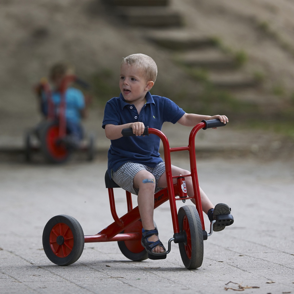 Small Viking Tricycle