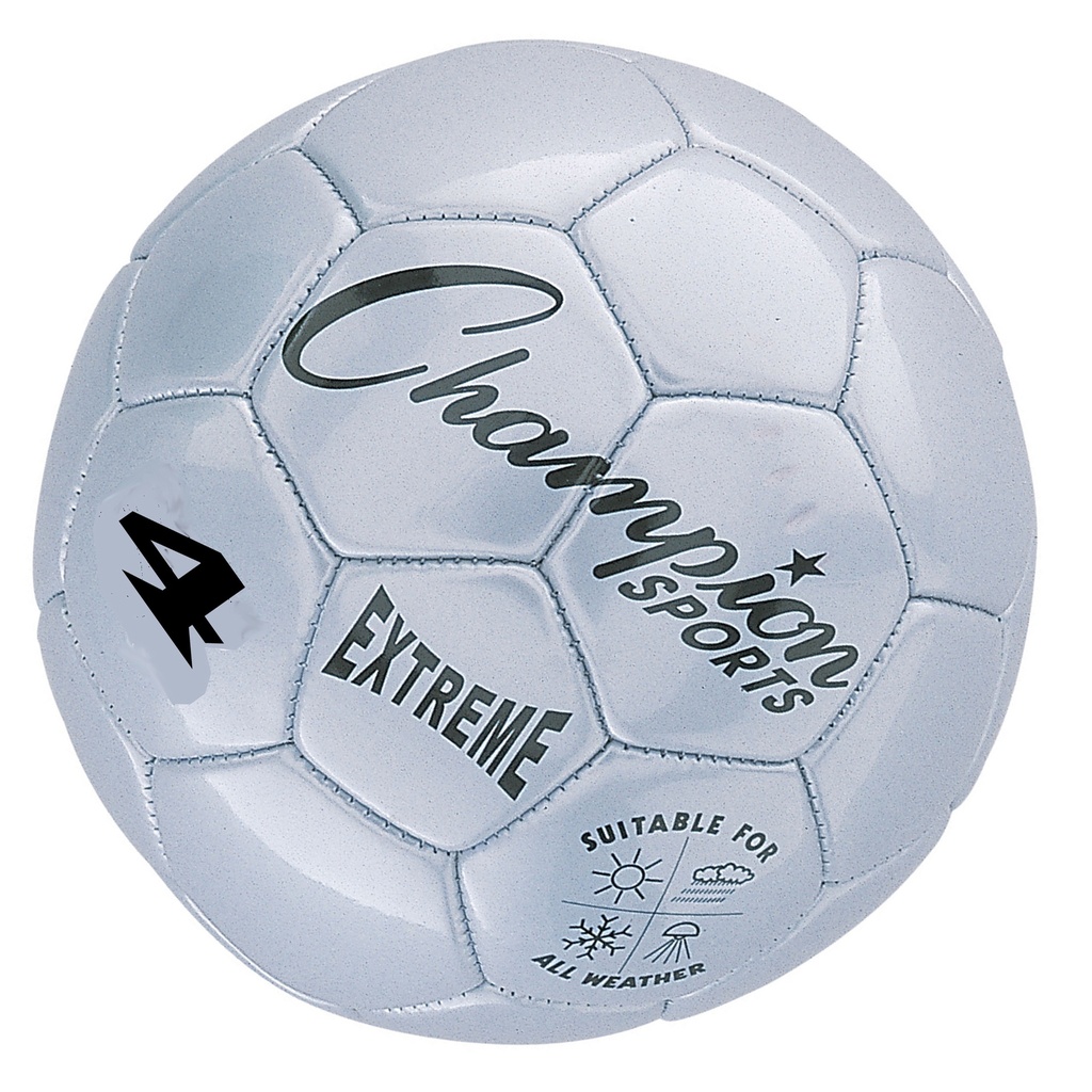 Silver Extreme Size 4 Soccer Balls 2ct