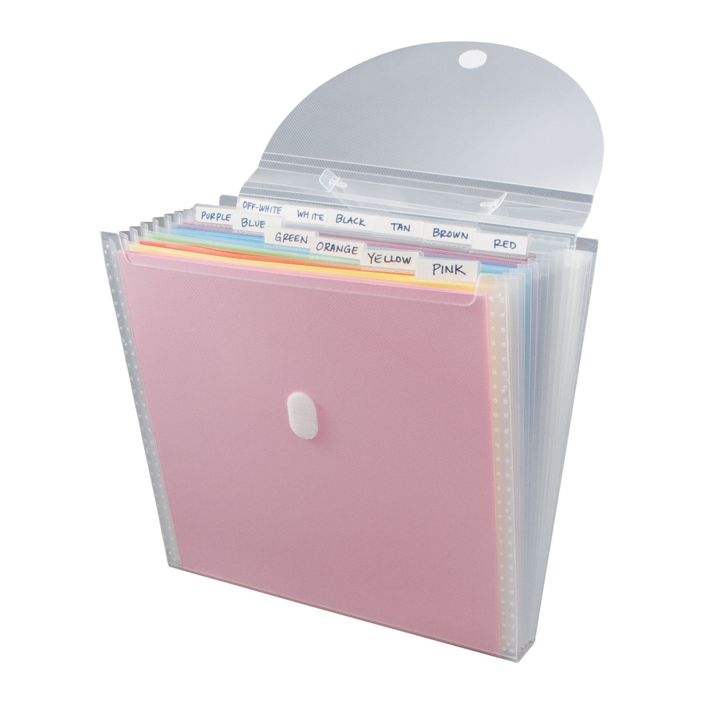 Expandable Paper Organizer with 12 Pockets