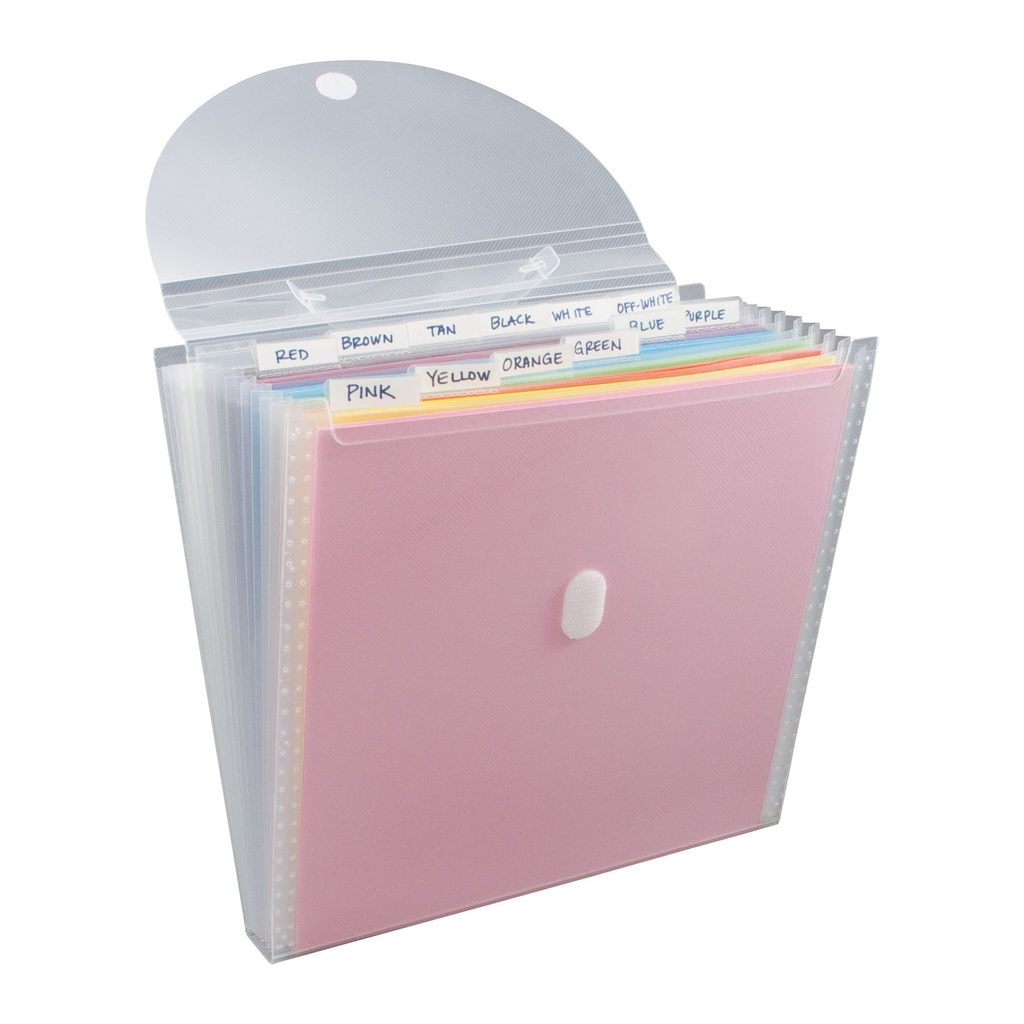 Expandable Paper Organizer with 12 Pockets