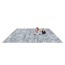 Stretched Thin Area Rug