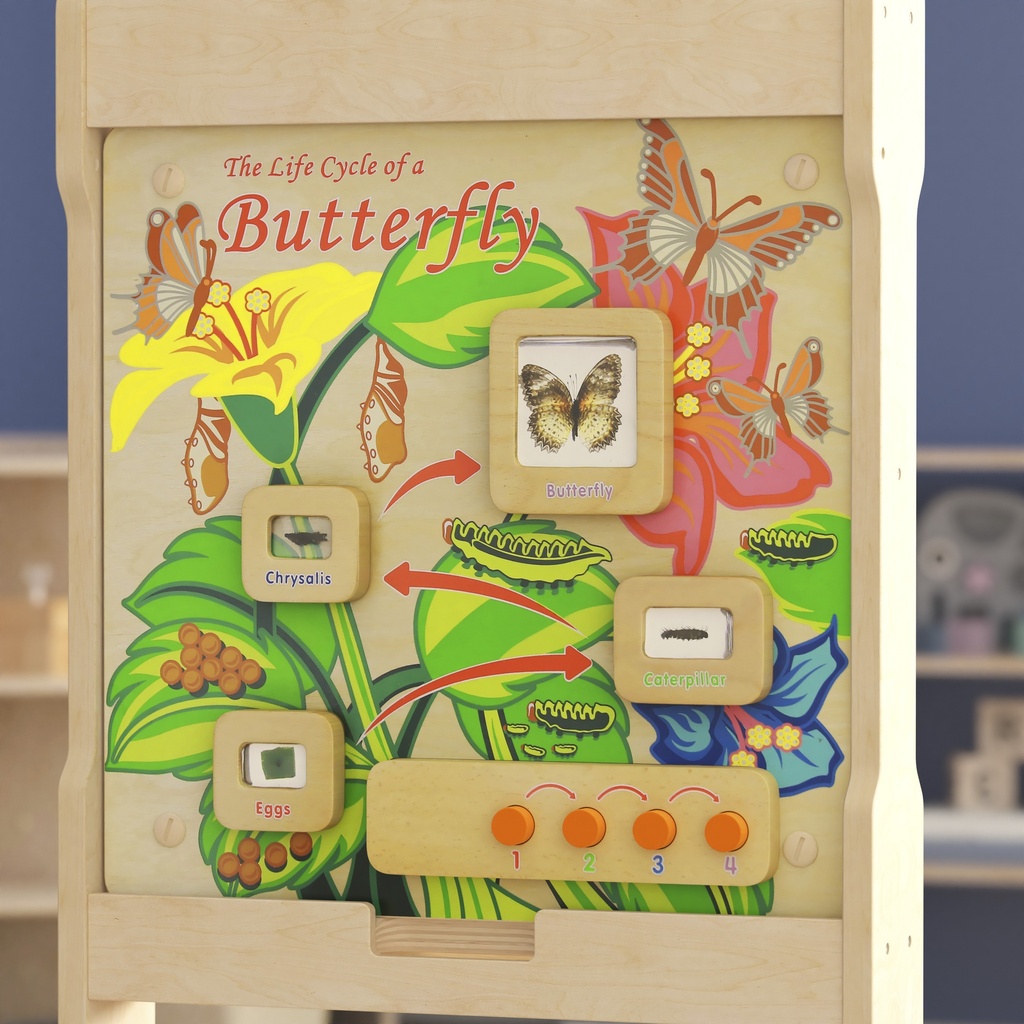 Butterfly Life Cycle Activity Board Accessory Panel