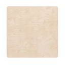 Weather Activity Board Accessory Panel
