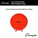 FitPro 75cm Ball with Stability Legs