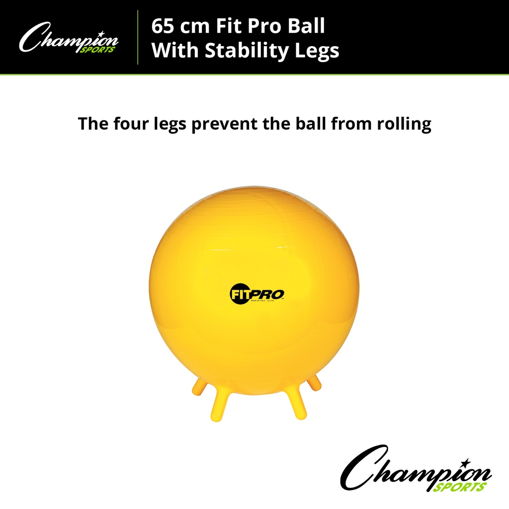 FitPro 65cm Ball with Stability Legs