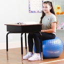 Inflatable Sensory Roller Ball