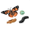 Life Cycle Figurines 24 Piece Set