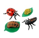 Life Cycle Figurines 24 Piece Set