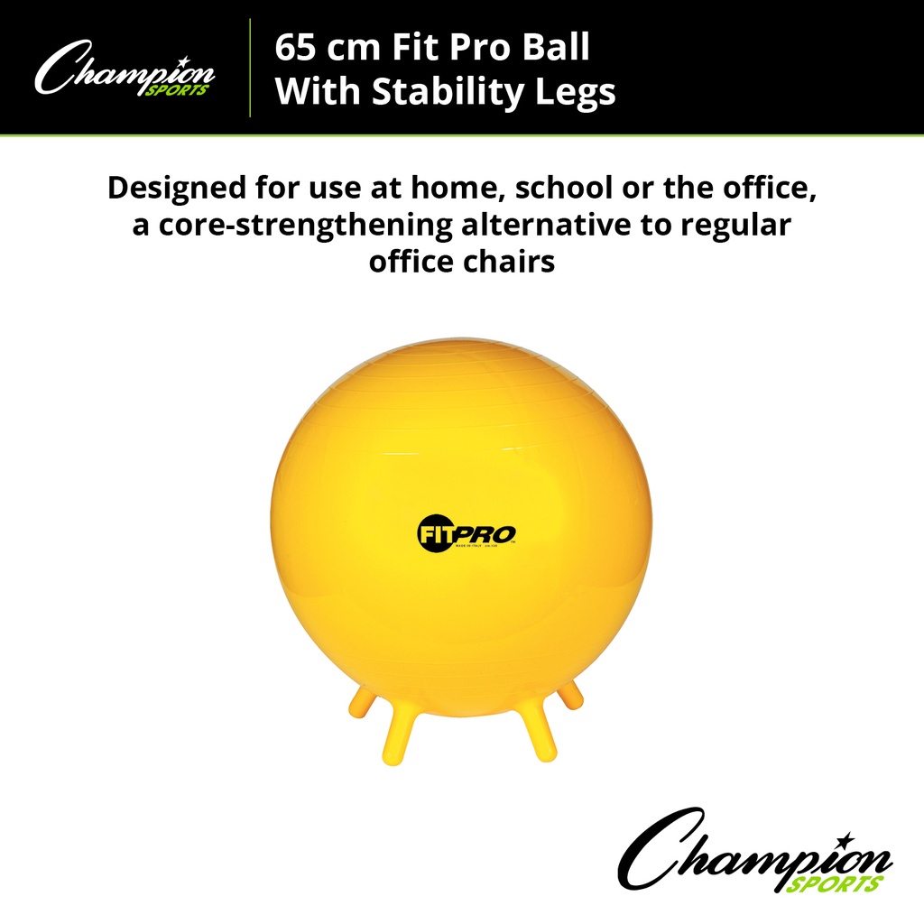 FitPro 65cm Ball with Stability Legs