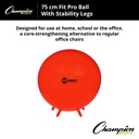 FitPro 75cm Ball with Stability Legs