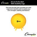 FitPro 65cm Ball with Stability Legs