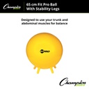 FitPro 65cm Ball with Stability Legs